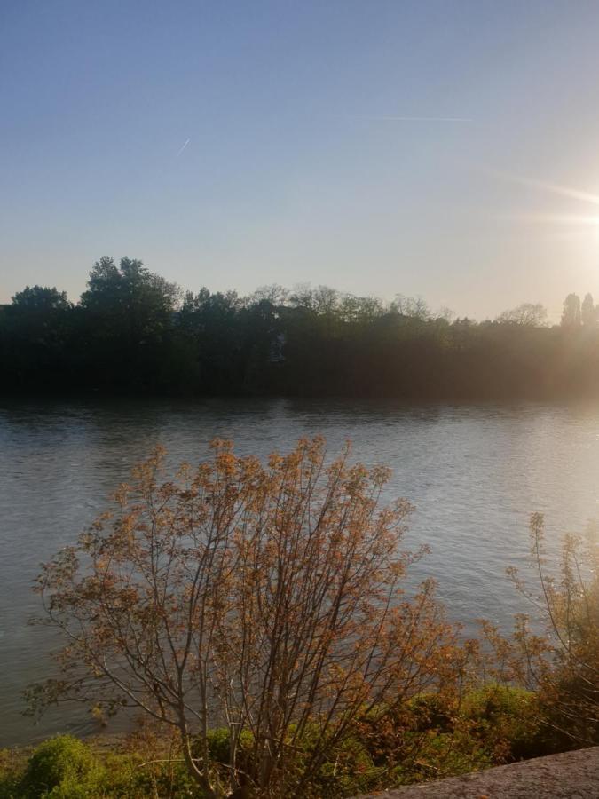 Appart Cosy Sur Berges De Garonne Pour Vacances & Affaires Tuluza Zewnętrze zdjęcie