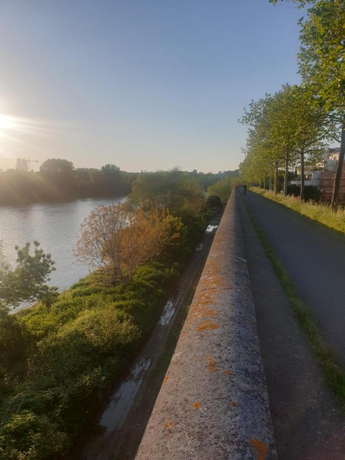 Appart Cosy Sur Berges De Garonne Pour Vacances & Affaires Tuluza Zewnętrze zdjęcie